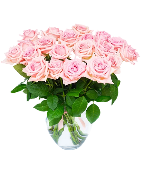 Bouquet di